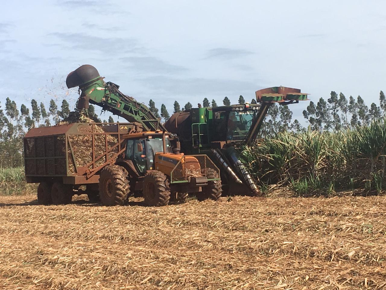 WhatsApp Image 2020-11-06 at 15.41.44.jpeg